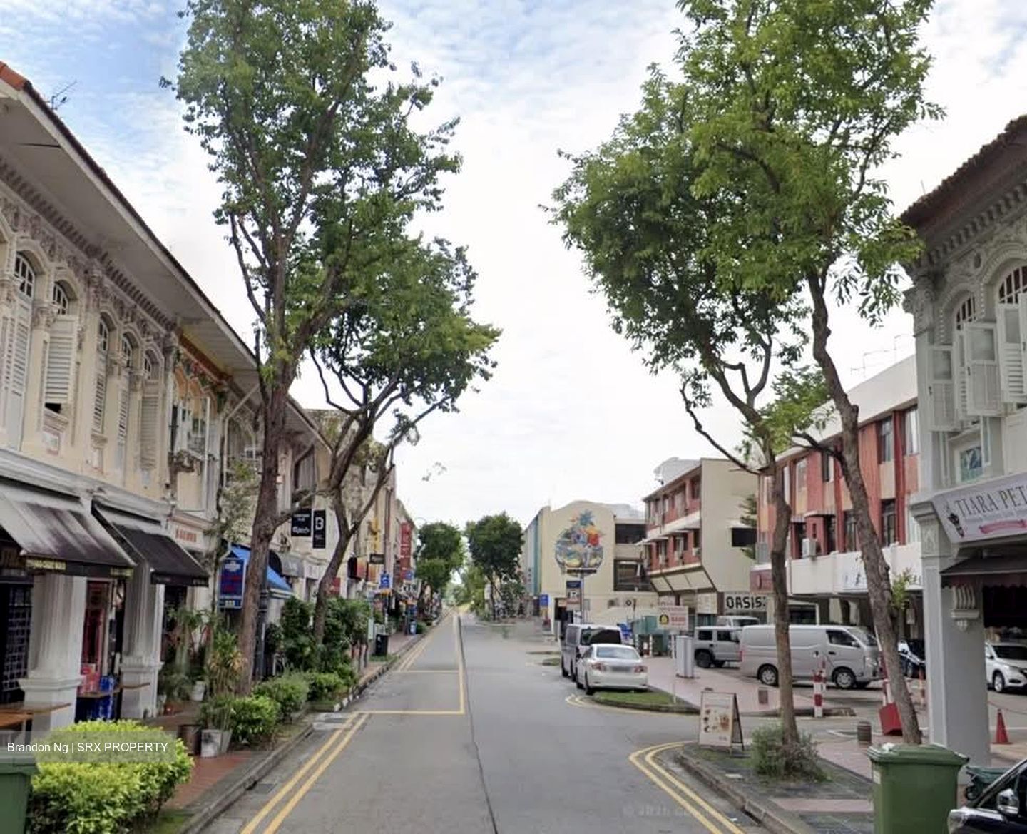 Joo Chiat Road (D15), Shop House #541466631